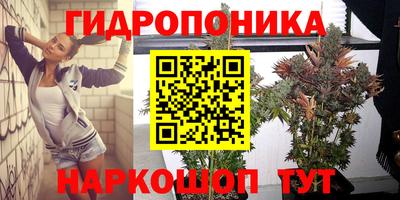 ГАЛЛЮЦИНОГЕННЫЕ ГРИБЫ Шахты
