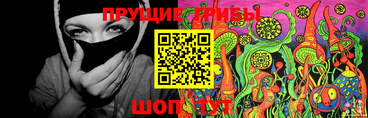 Псилоцибиновые грибы Cubensis Глазов