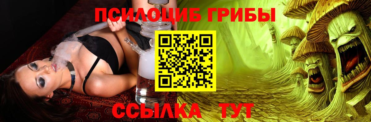 купить наркотики цена  Псилоцибиновые грибы Cubensis  Вход с VPN  Глазов 