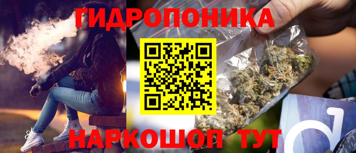 Бошки Шишки марихуана  Каннабис семена  Вход с VPN  Конопля Bruce Banner  Глазов 